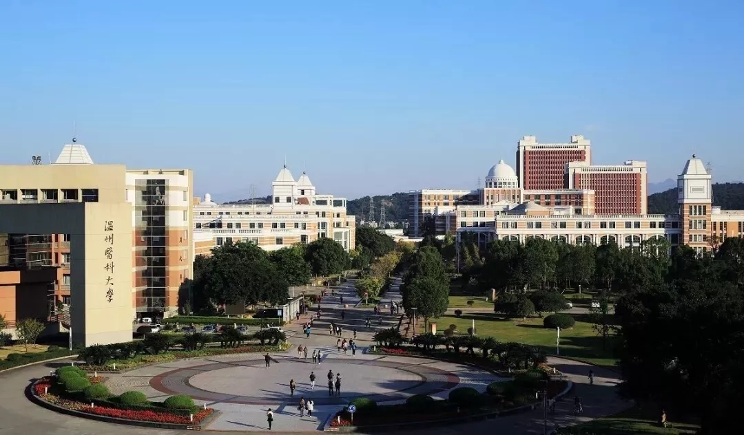 1607517709810187.jpg 13.jpg.jpg